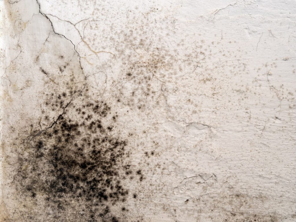 humedad en las paredes en invierno por condensación