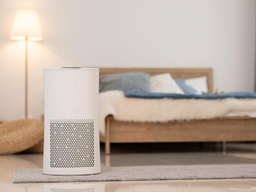 cuándo comprar un deshumidificador