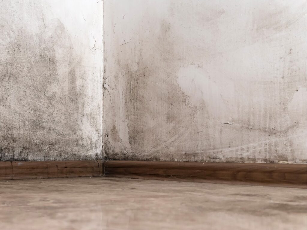 aislar una pared fría humedad