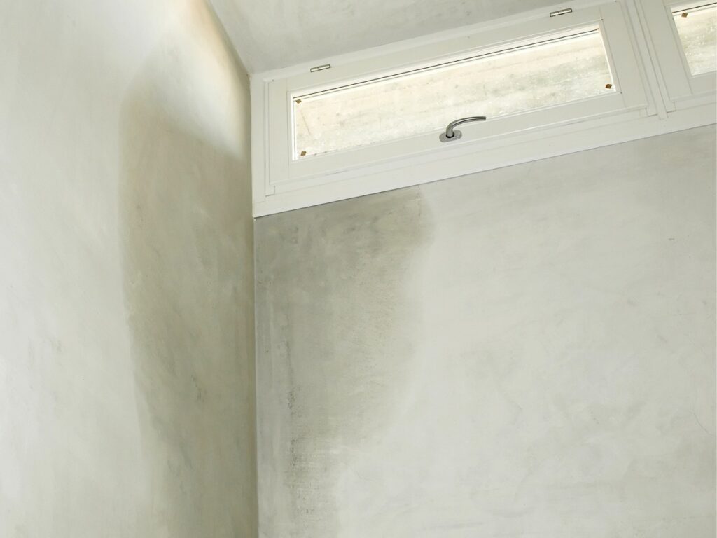 mancha de humedad vuelve