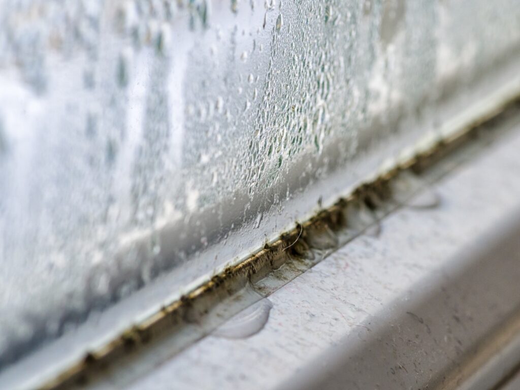 moho en marcos de ventana por condensación
