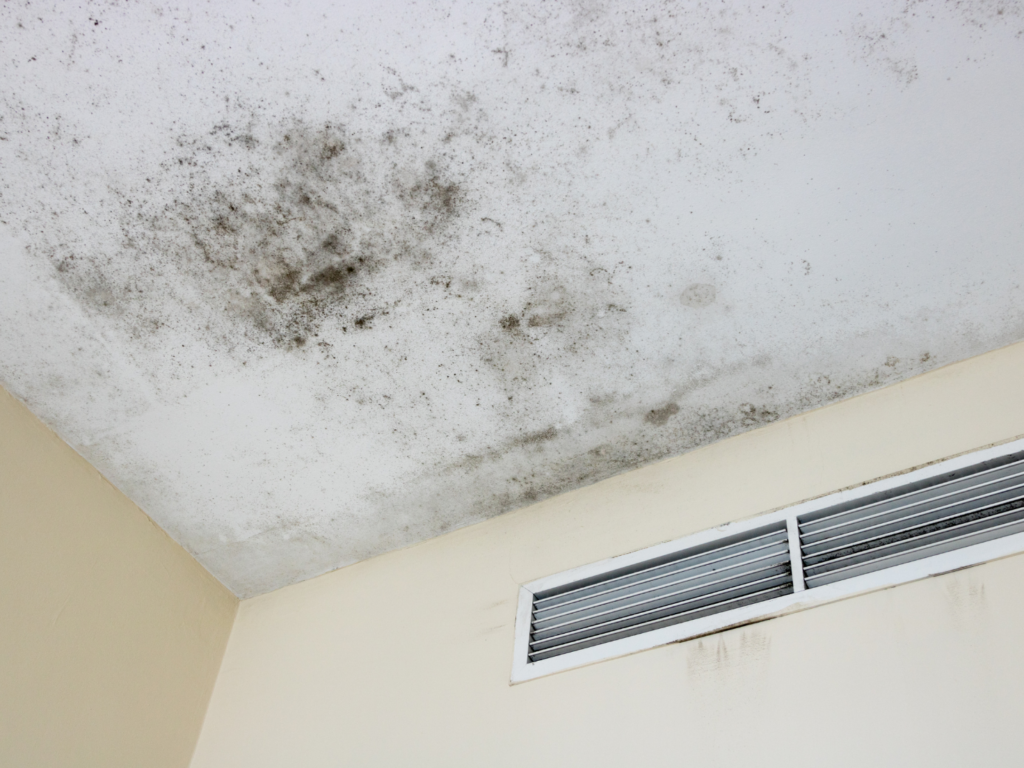 ventilar casa en invierno humedad