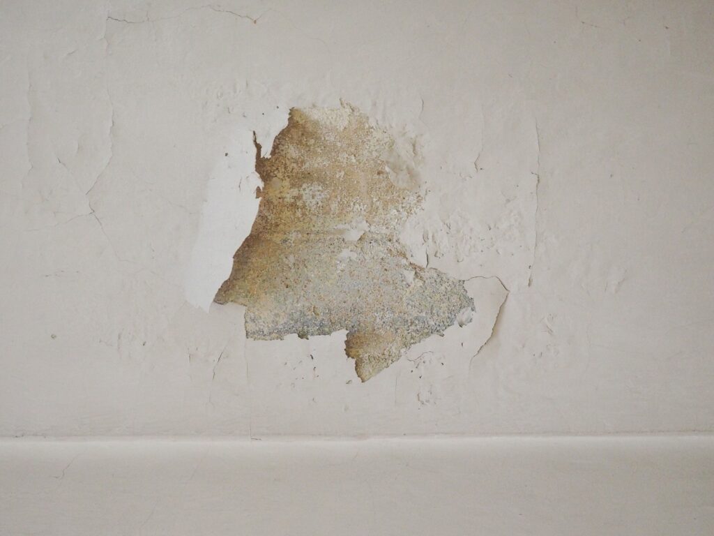 manchas de humedad en pared interior
