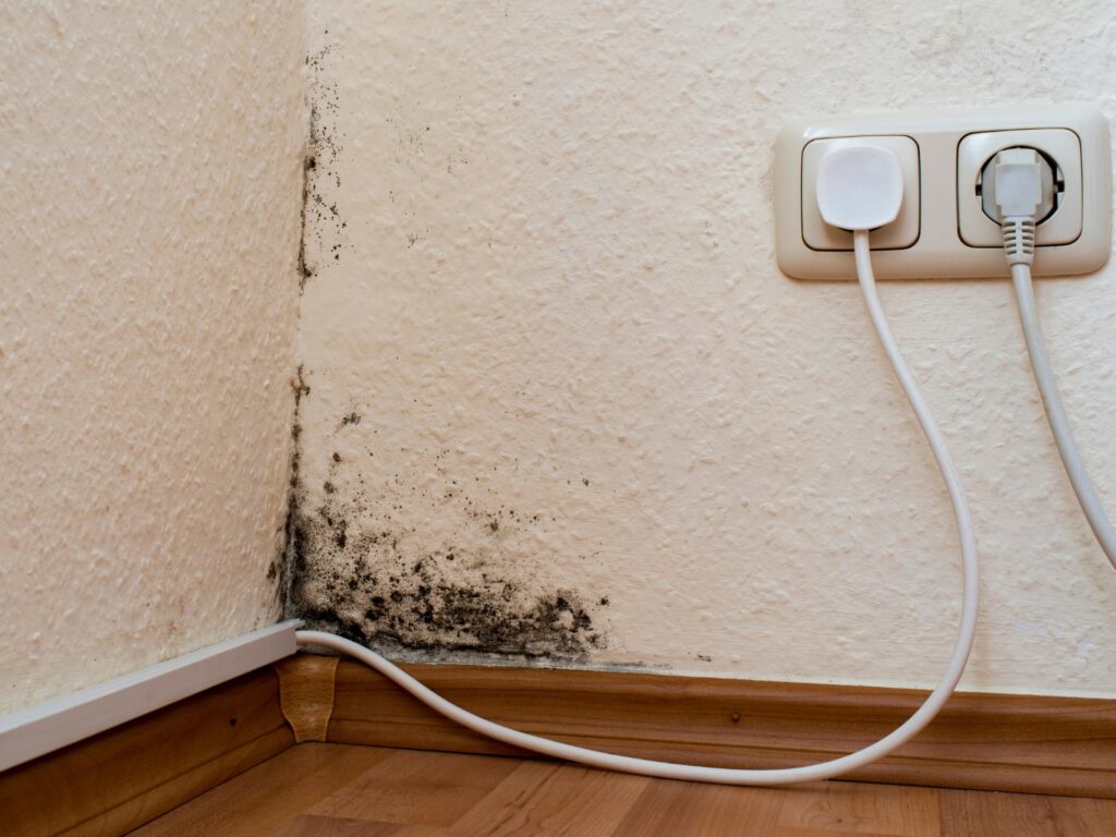 condensación en pared fría interior
