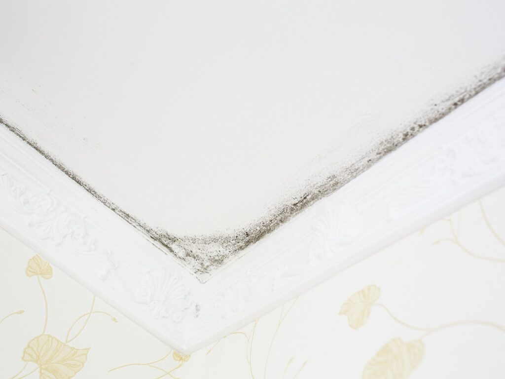 manchas de humedad en el techo por condensación
