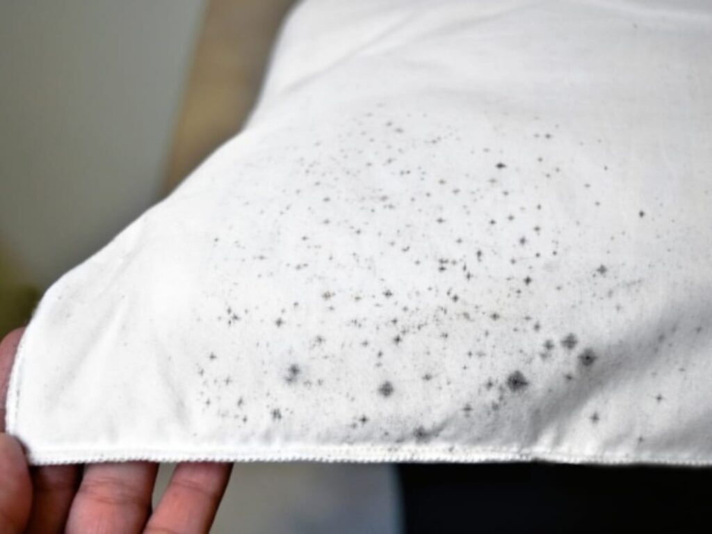 Cómo quitar el olor a humedad de una habitación