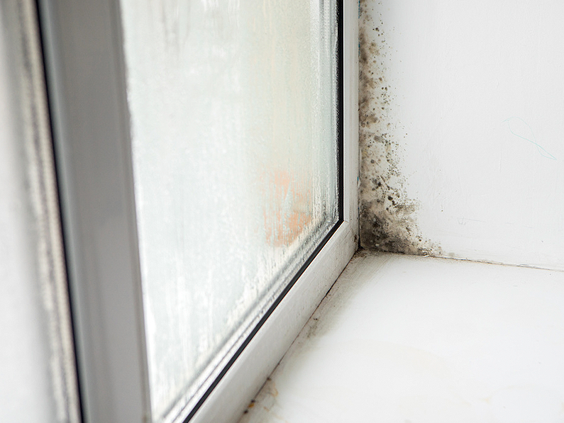 problemas de humedad en paredes de casa