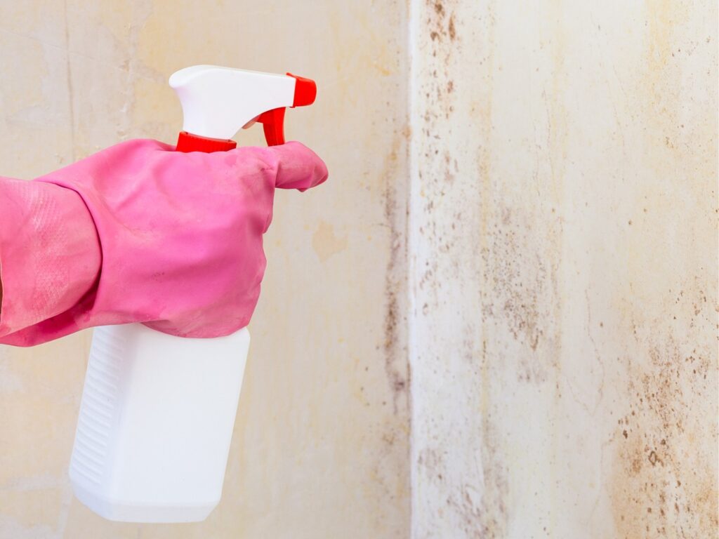 cómo quitar humedad de las paredes
