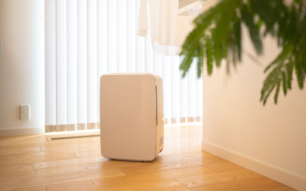 deshumidificador en casa