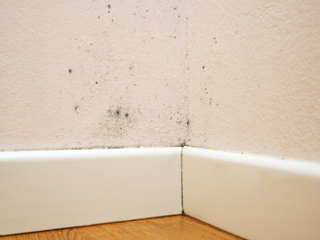 moho en dormitorio por humedad