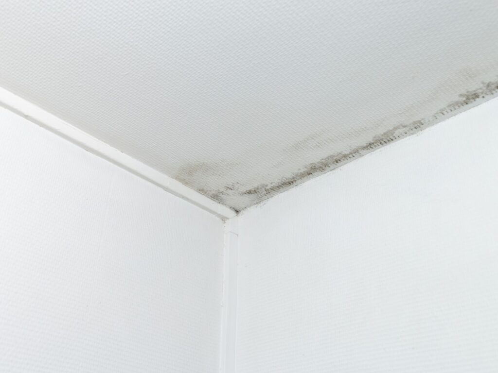 mancha de humedad en techo de una vivienda
