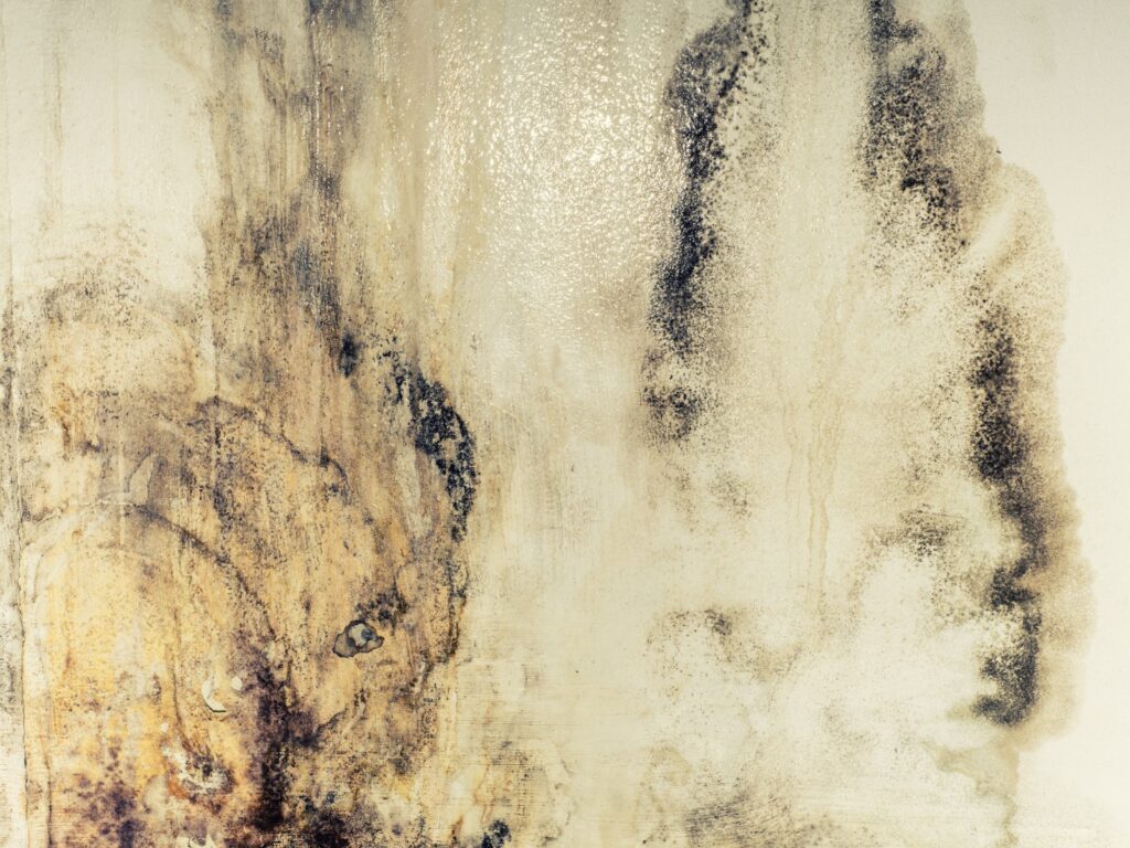 humedad por filtración en pared interior