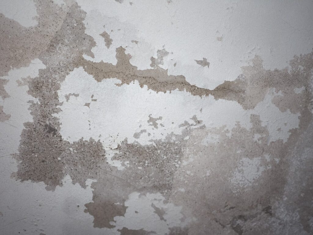Cómo quitar la humedad de las paredes
