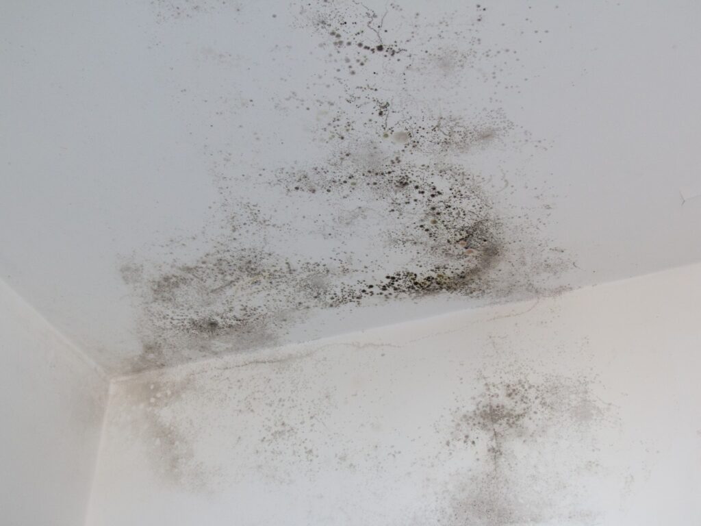 mancha de humedad en pared interior