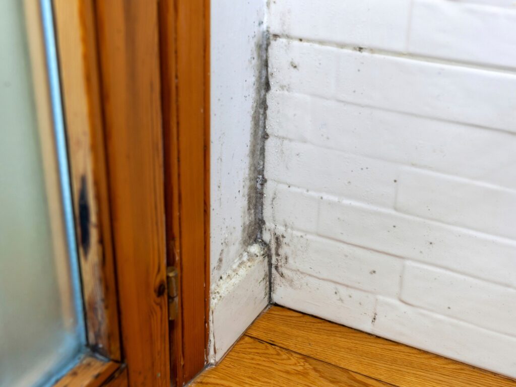 moho en pared interior causado por humedad