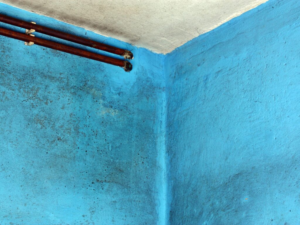 manchas de moho en techo por humedad