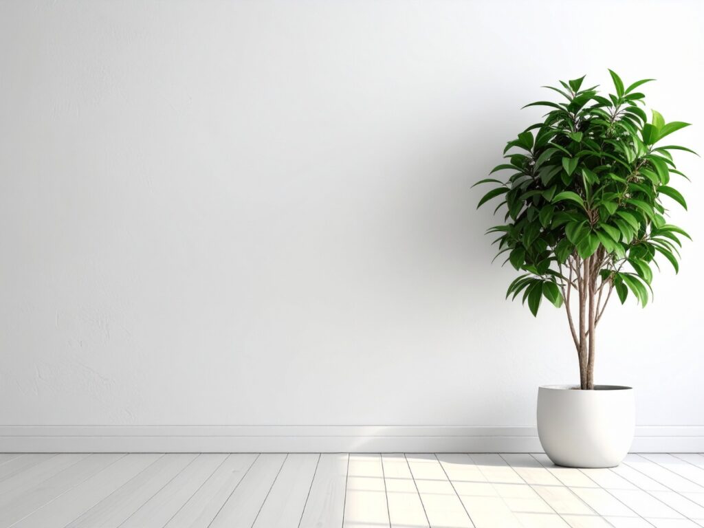 pared interior reparada sin manchas de humedad