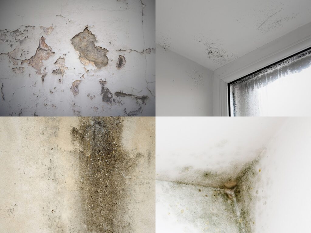 tipos de humedad en casa