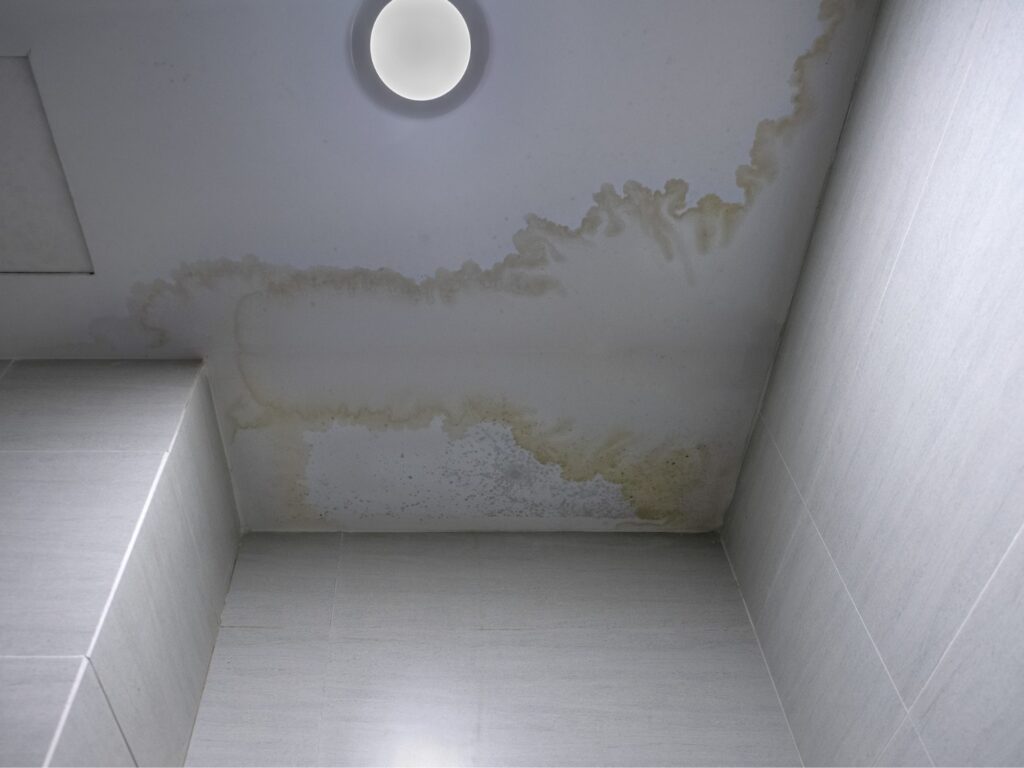 filtración de agua en el techo